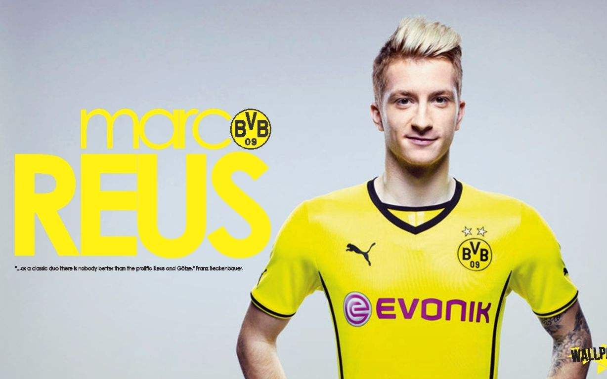 包含多特蒙德迎NBA常规赛关键赛；今晚完成体检；目标明确；团队化学反应显著的词条-AYX